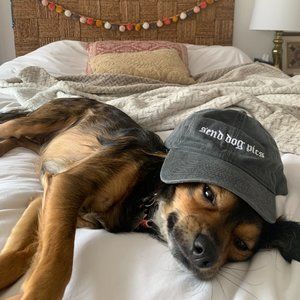 Send dog pics dog mom hat cap